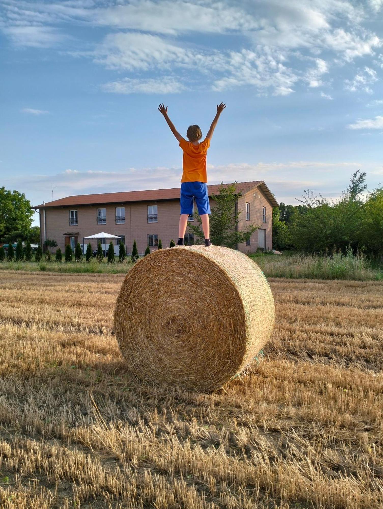 Agriturismo Campi Di Grano Roncade Exterior foto